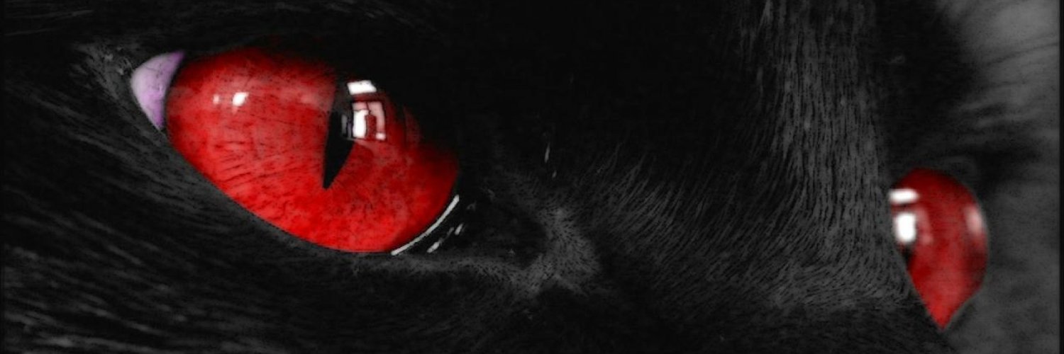 RockillSDV's profile banner image