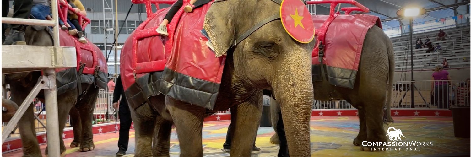 CompassionWorks Intl banner