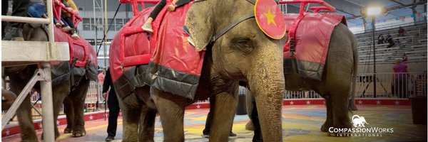 CWIntl Profile Banner