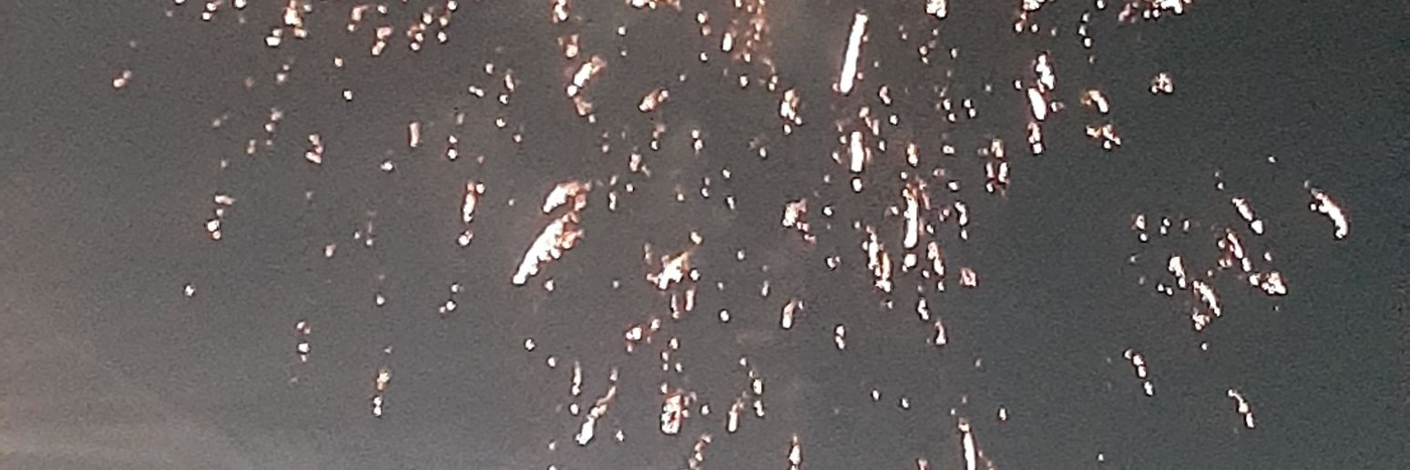 YanniLeal's profile banner image
