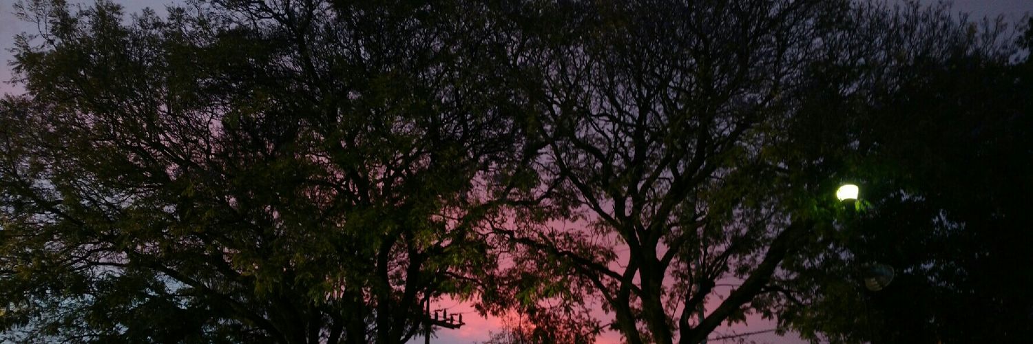 NicteeGM's profile banner image