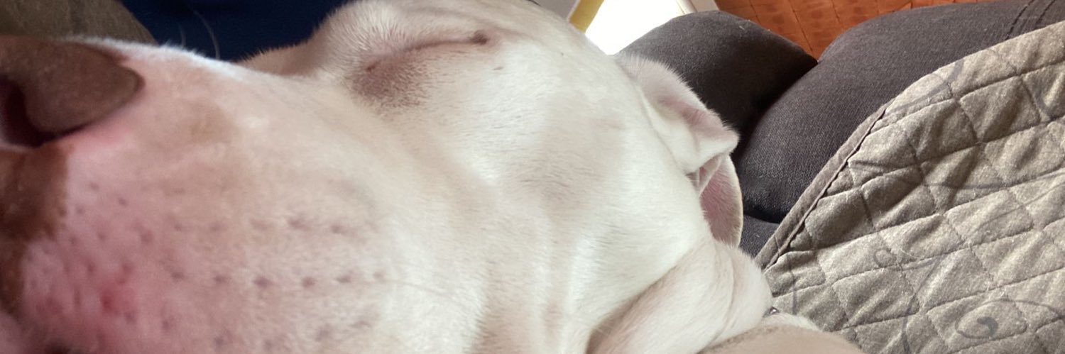 Edgareoo's profile banner image