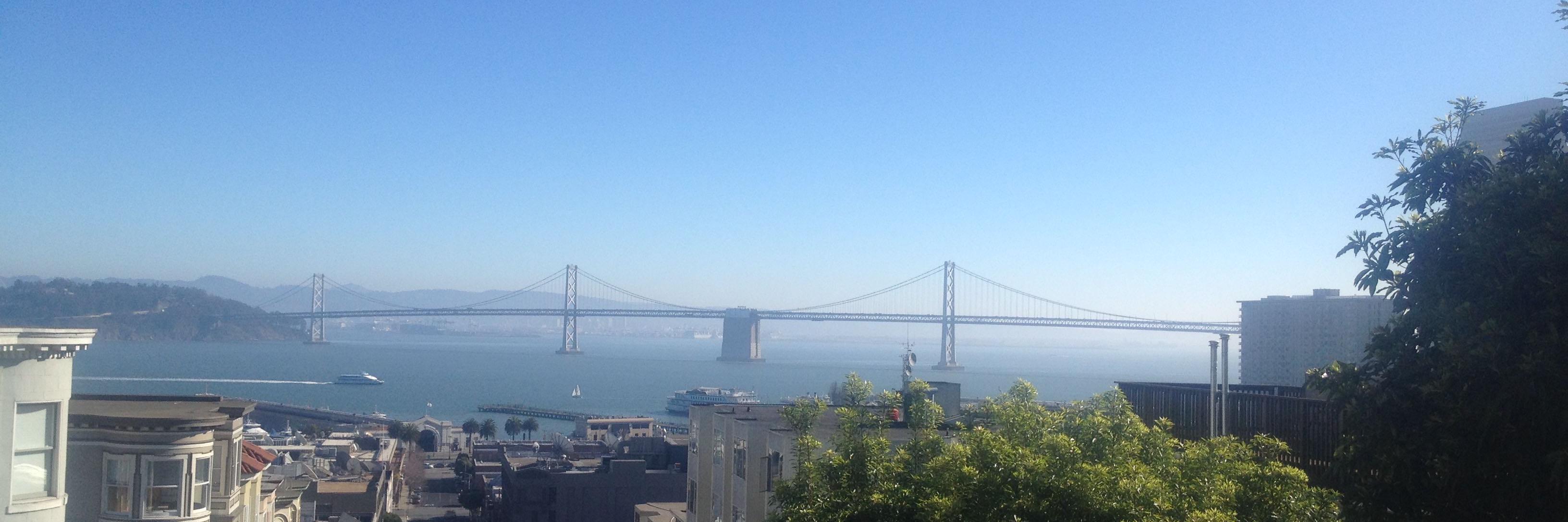 Mary Hadley Berger banner