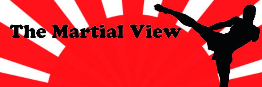 themartialview's profile banner image