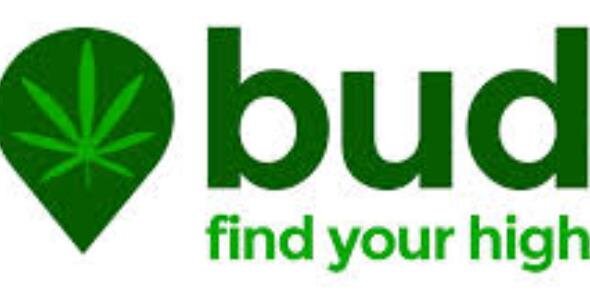 BudMatch's profile banner image