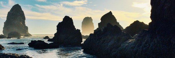 timsessions Profile Banner