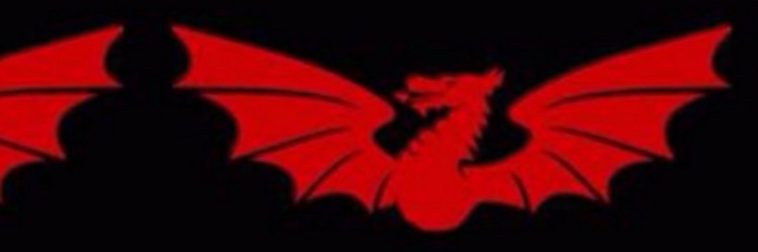 ljhdScarlets's profile banner image