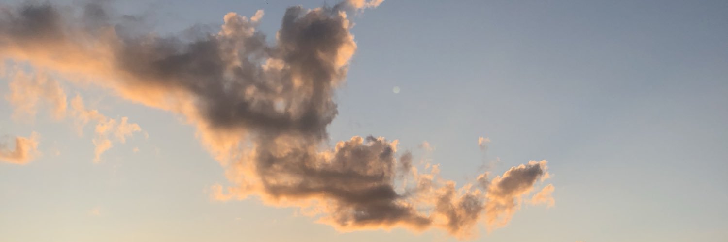 donnagaylee's profile banner image
