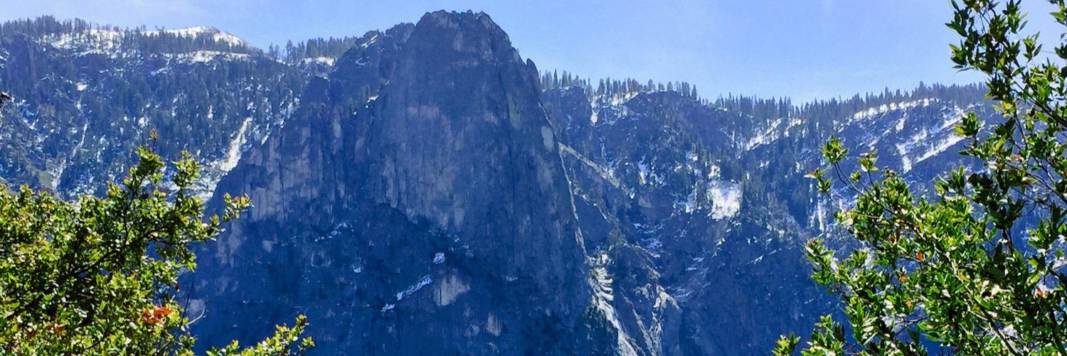WallecanC's profile banner image