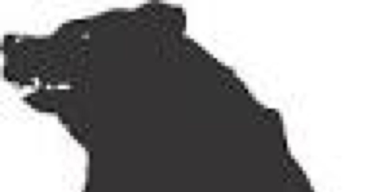 SrBearGun's profile banner image