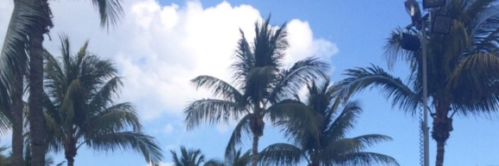 mokenny95's profile banner image