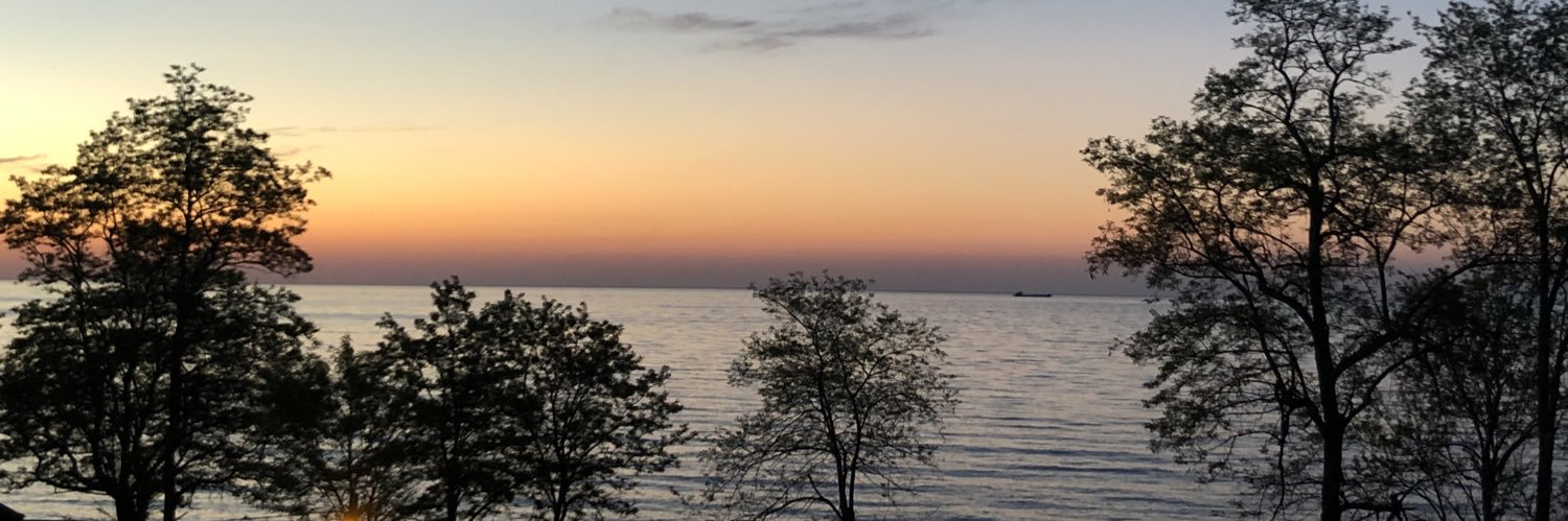 srcnadgzl's profile banner image