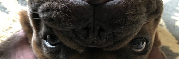 matt_godley Profile Banner