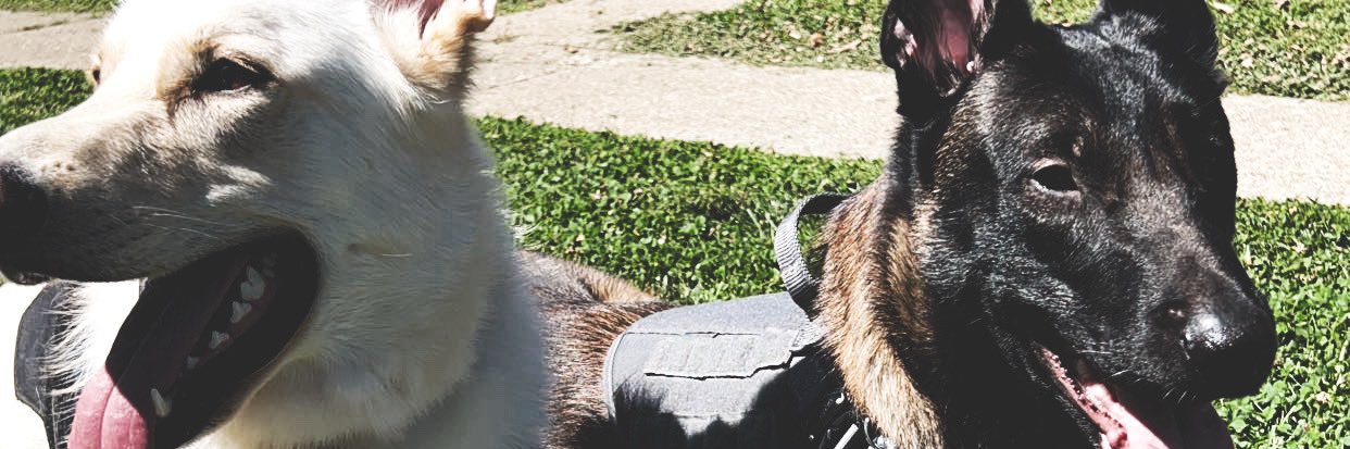 Justin_tf_3's profile banner image