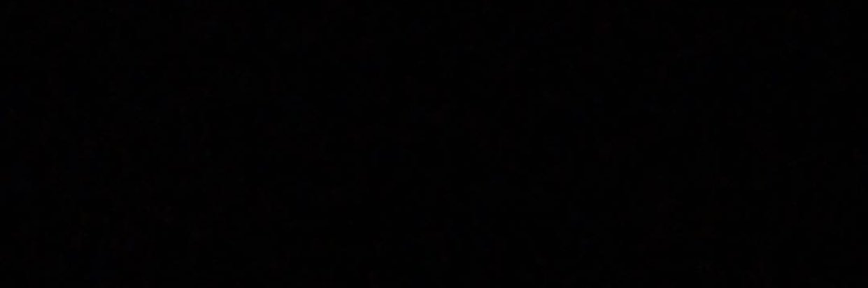 Nicole Rae banner