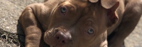 _LovelyIB's profile banner image