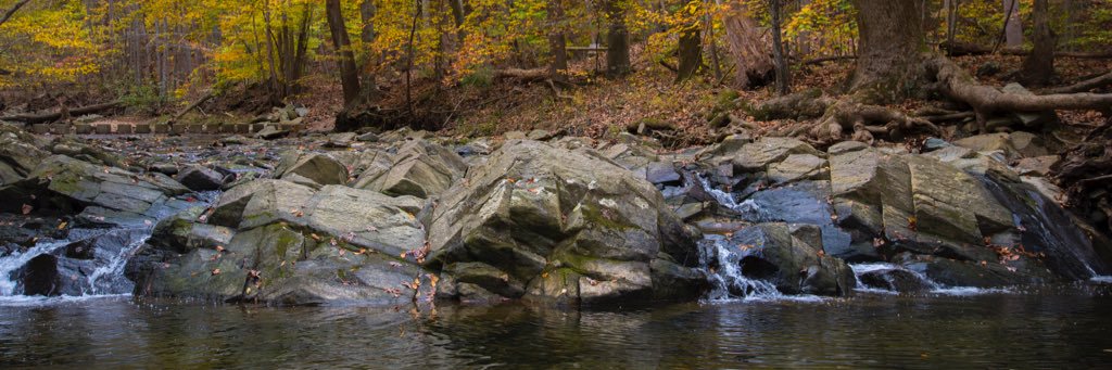 Ethan Miller 🍉 banner