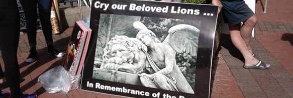 BanTheCanCT's profile banner image