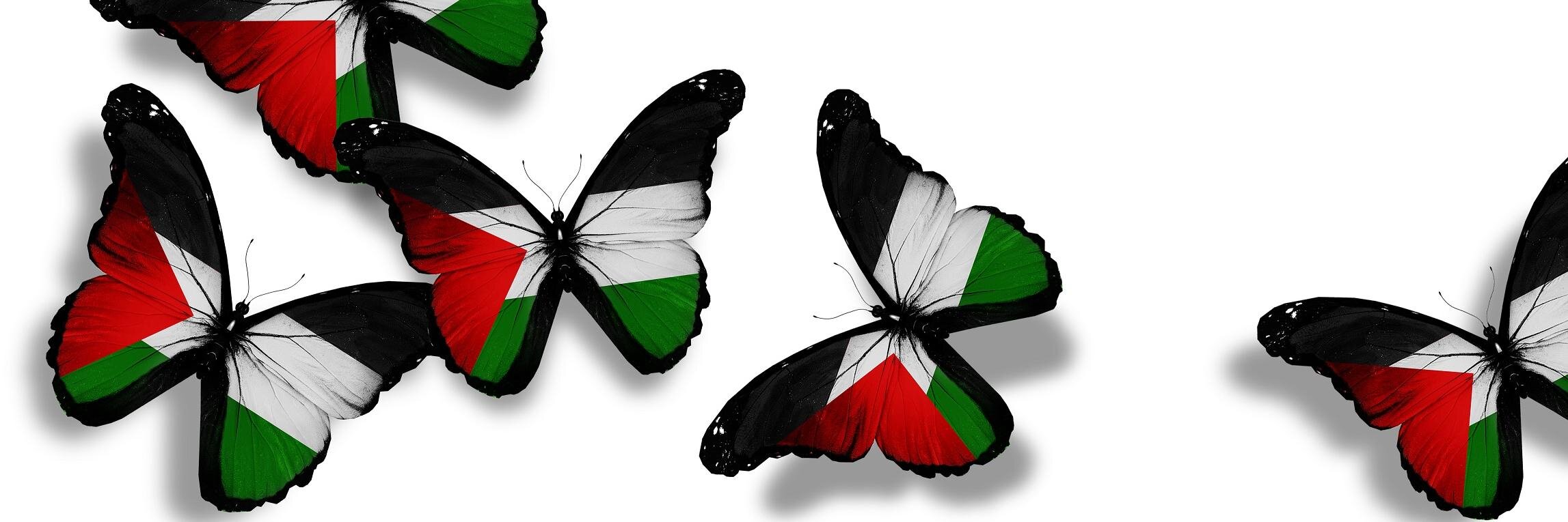 MidWest2MidEast's profile banner image