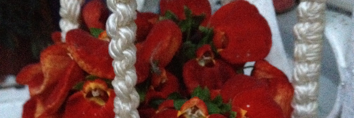 EceAyen's profile banner image