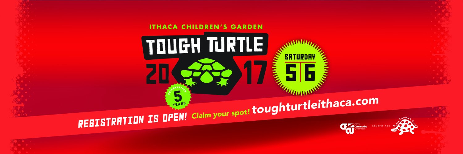 TheToughTurtle's profile banner image