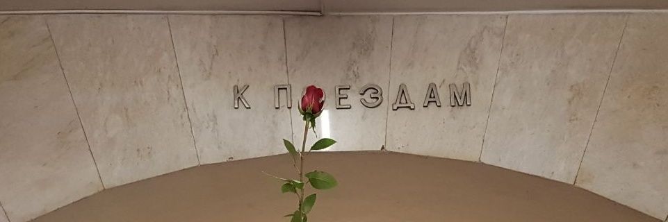 ньастя без органов🎲 banner