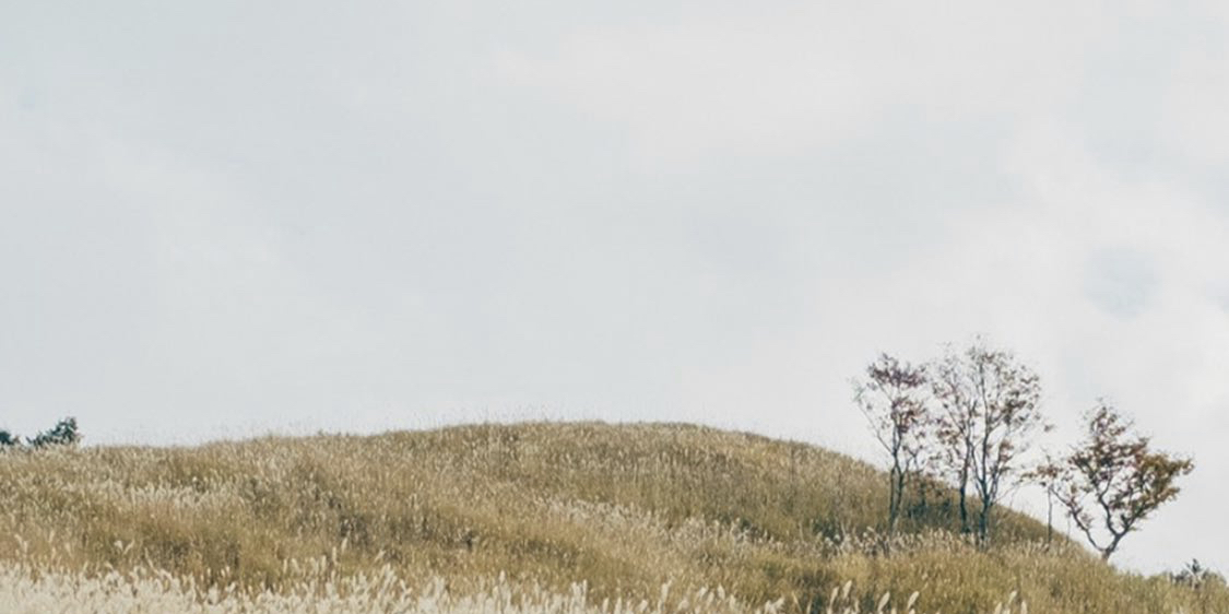 kaorin_dot's profile banner image