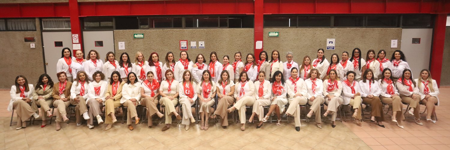 Comité de Damas CMIC Nacional banner