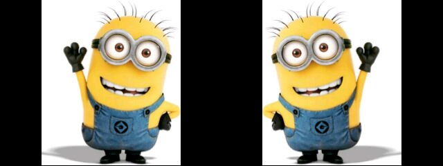windALynda's profile banner image
