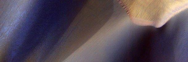 zuubidoo's profile banner image