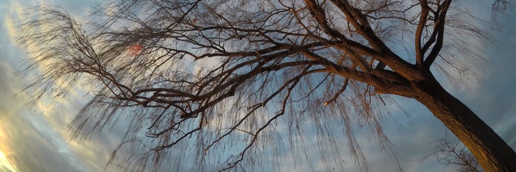 n_malida's profile banner image