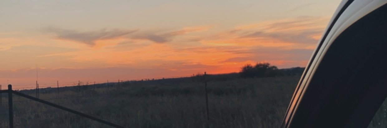 _sydfin's profile banner image