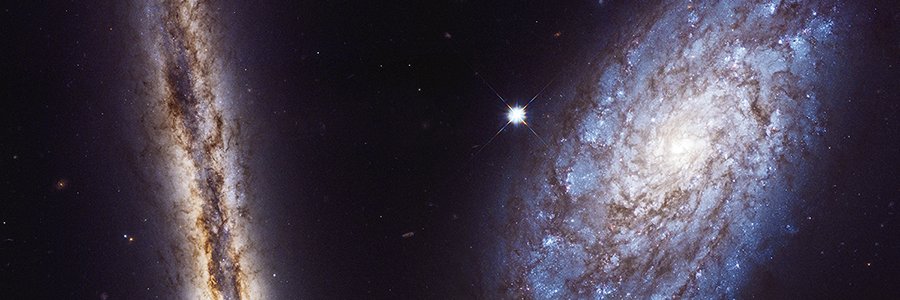 Rogsvam's profile banner image