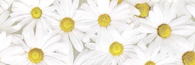delimadilla's profile banner image