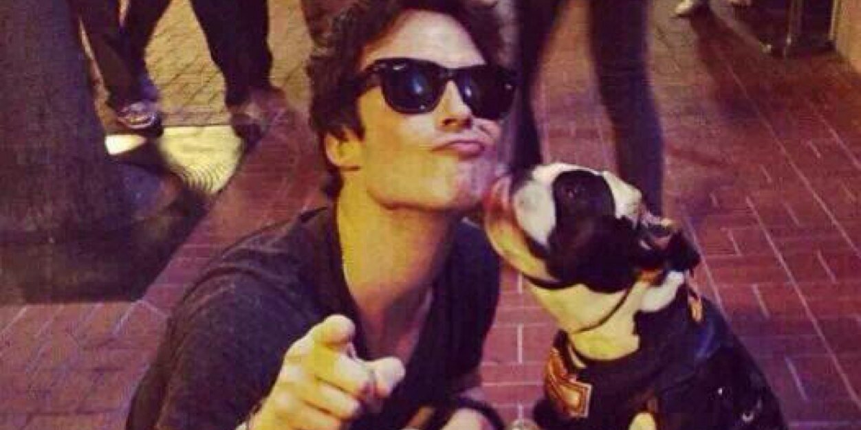 Iamsomerhalder's profile banner image