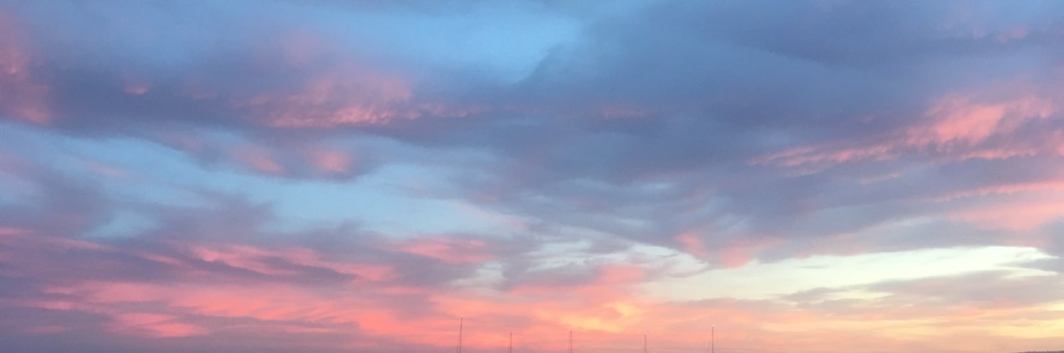 SofiFiol's profile banner image