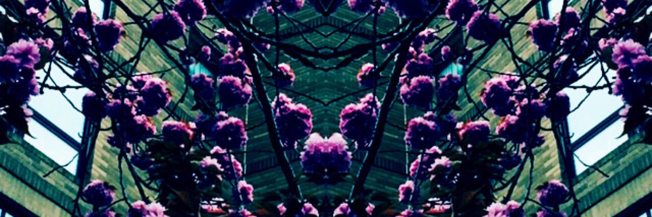 traveytt's profile banner image