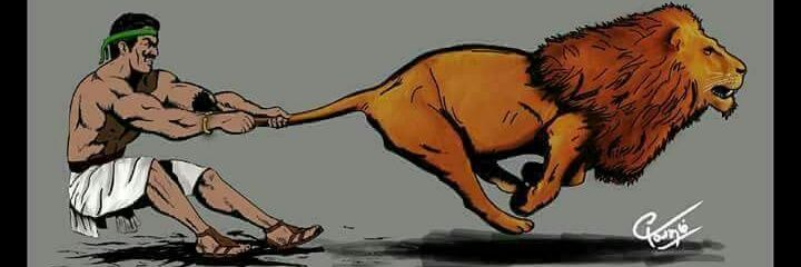 pavithala1's profile banner image