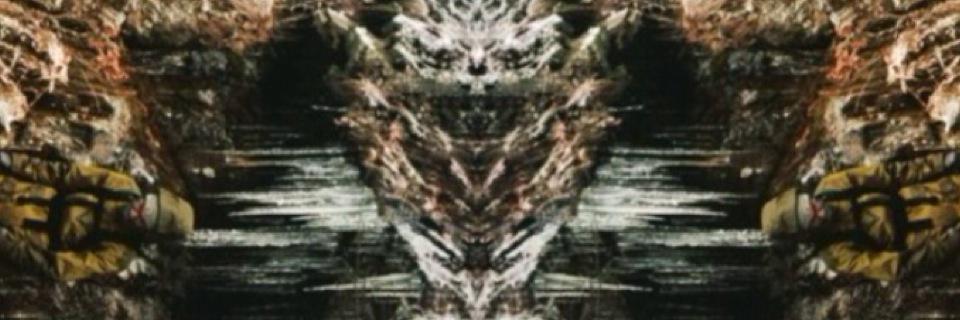 iBEEShan's profile banner image