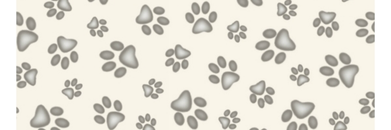funnycutedogs's profile banner image
