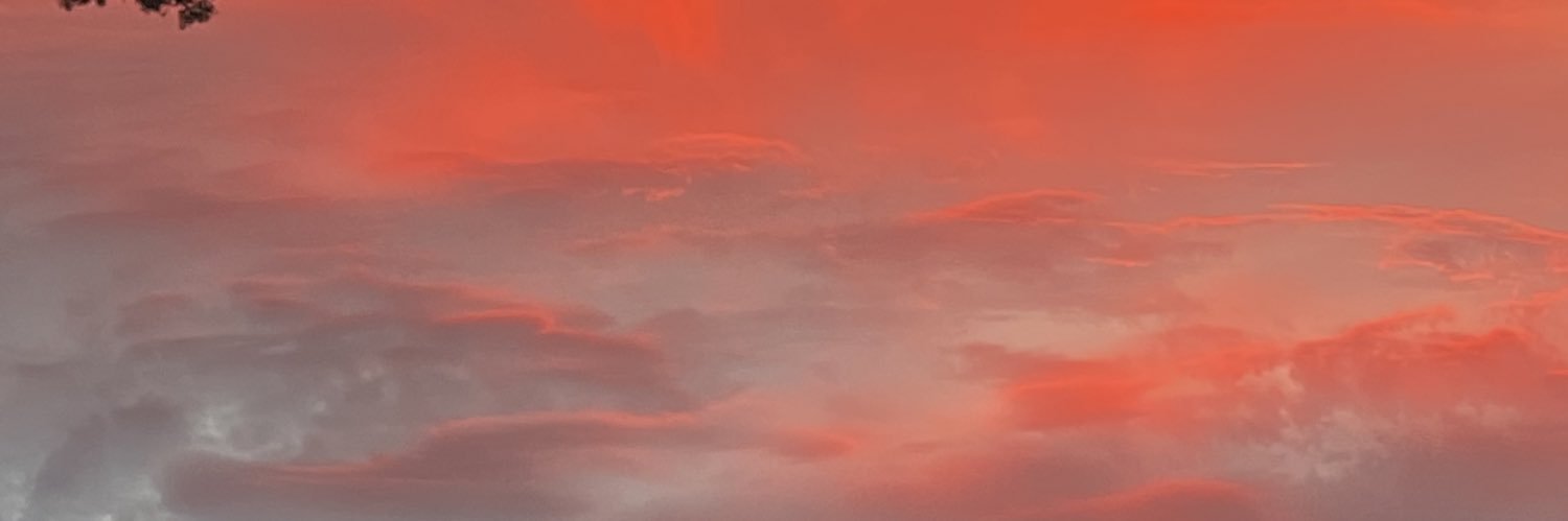 Michael Barton banner