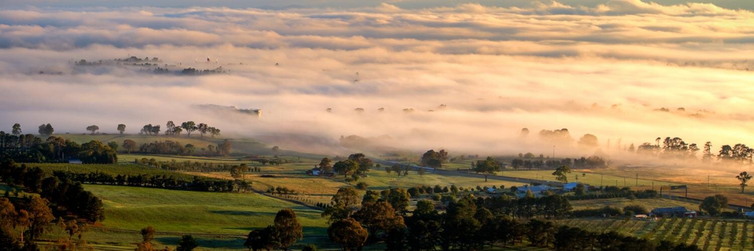 davidromaphoto's profile banner image