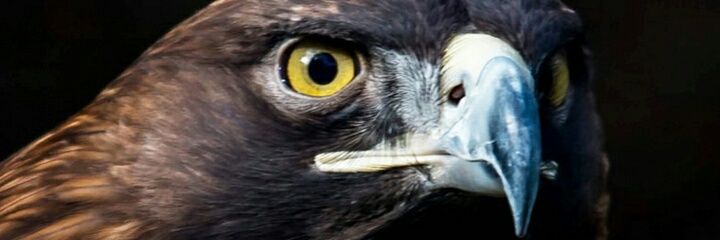 edugtzmex's profile banner image