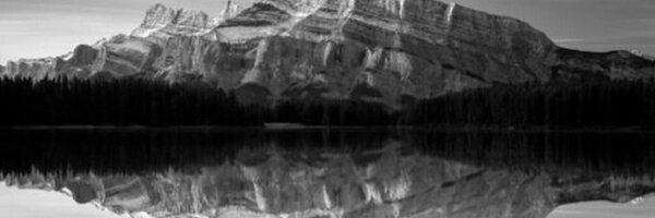 younglovef3 Profile Banner