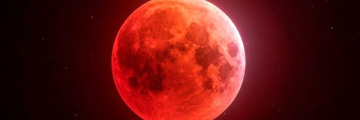 frankjr75's profile banner image