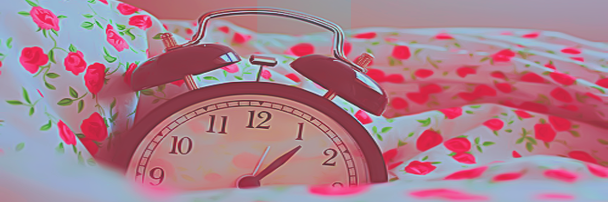 aniadasilva's profile banner image