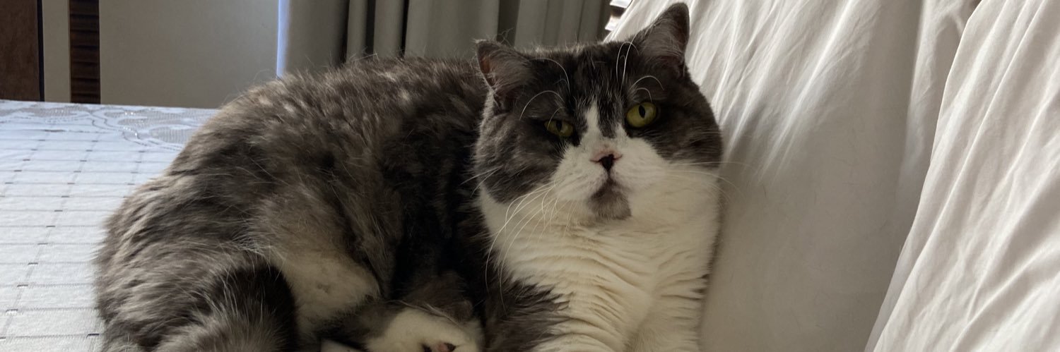 yasmin bacon (sim é meu nome) banner