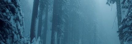 CMichelle61's profile banner image