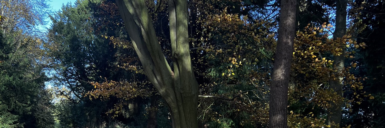 britishladyv's profile banner image