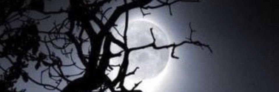peteje66's profile banner image